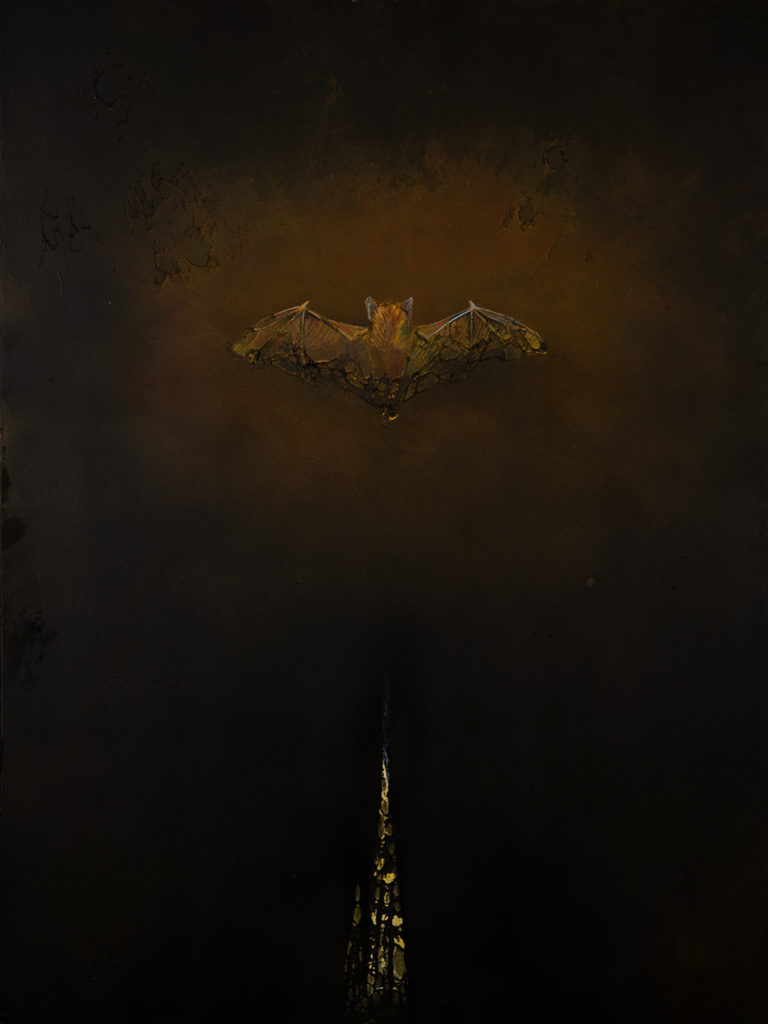 Little Brown Bat - in Darkness