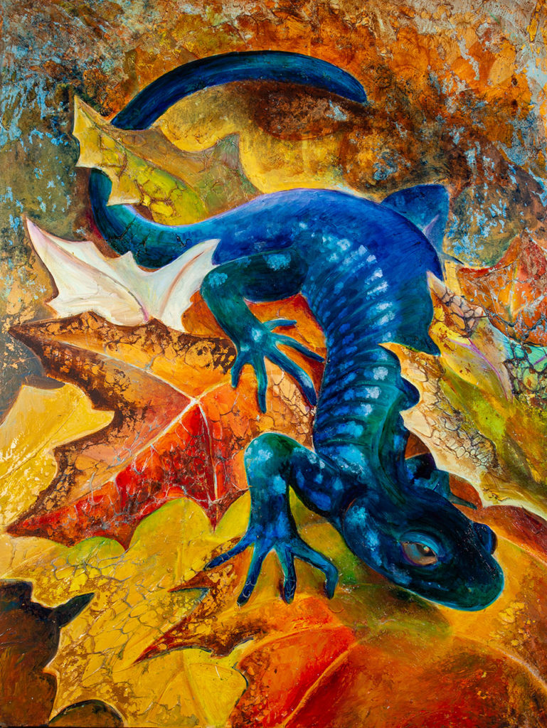 Blue-Spotted Salamander in Leaves